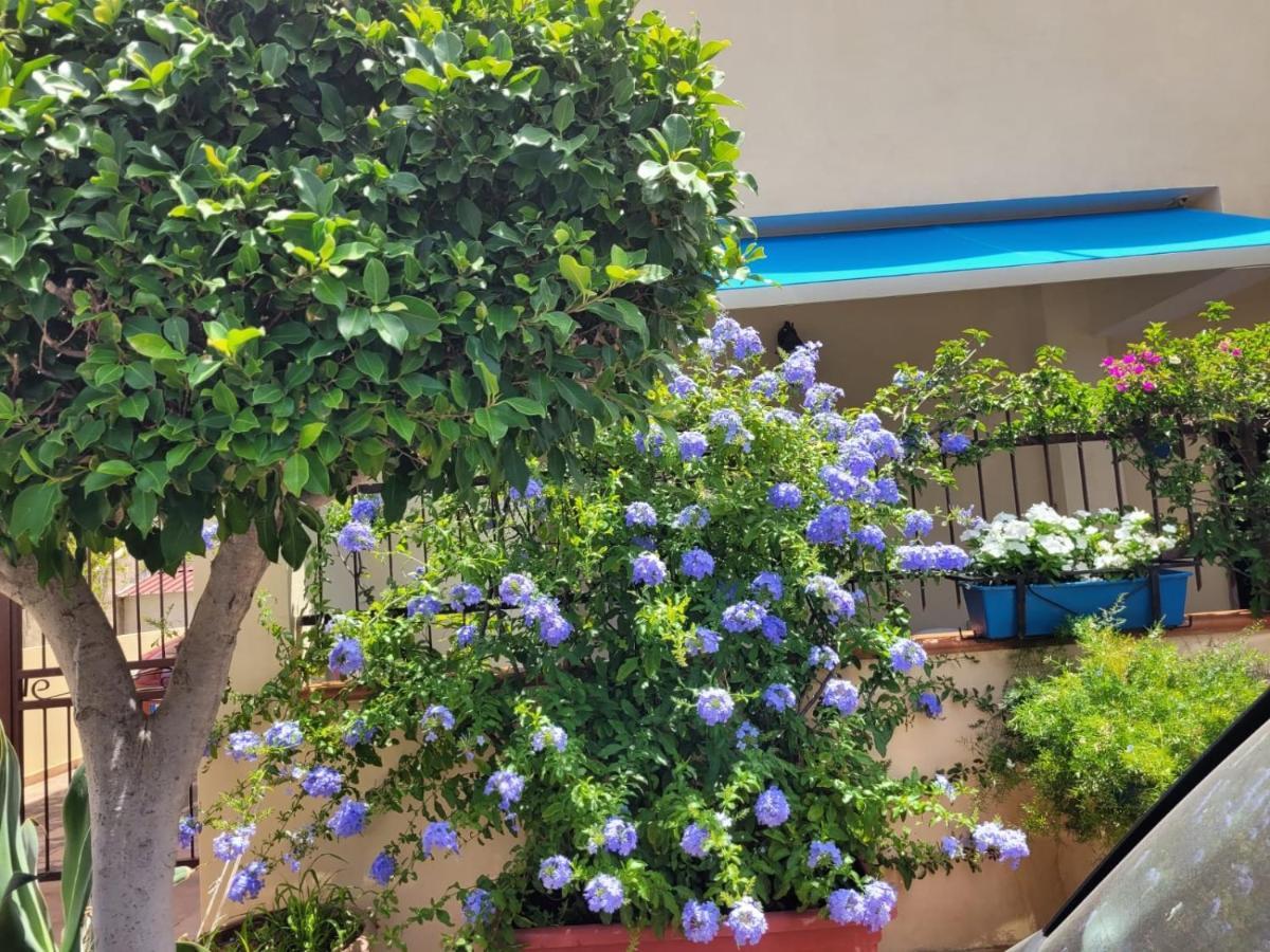 My Little House - Appartamento Con Patio E Parcheggio Privato A 5 Minuti Dalla Spiaggia E Dal Centro Tropea Bagian luar foto