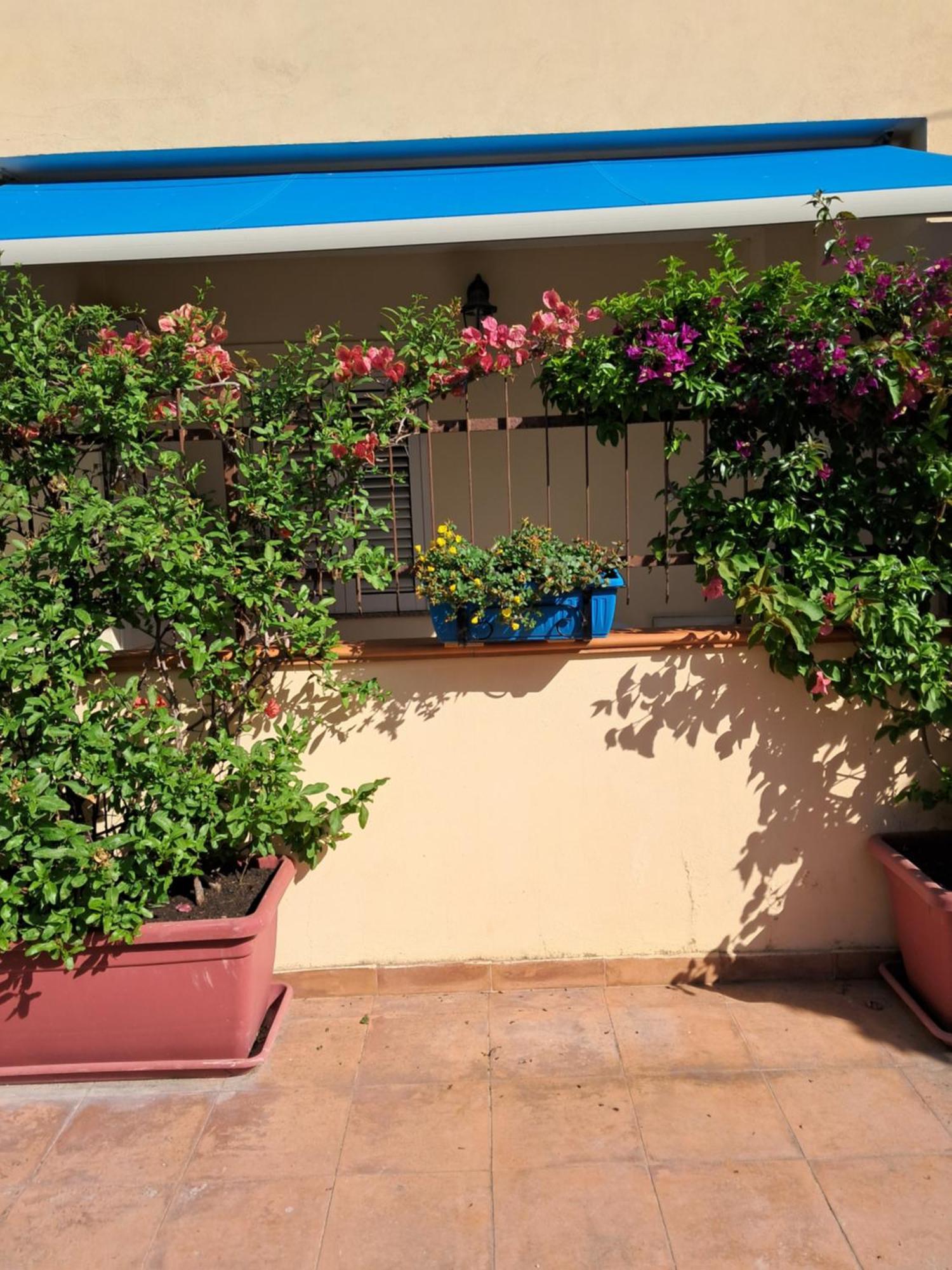 My Little House - Appartamento Con Patio E Parcheggio Privato A 5 Minuti Dalla Spiaggia E Dal Centro Tropea Bagian luar foto